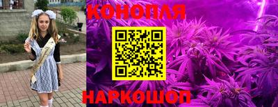 ГАЛЛЮЦИНОГЕННЫЕ ГРИБЫ Тара